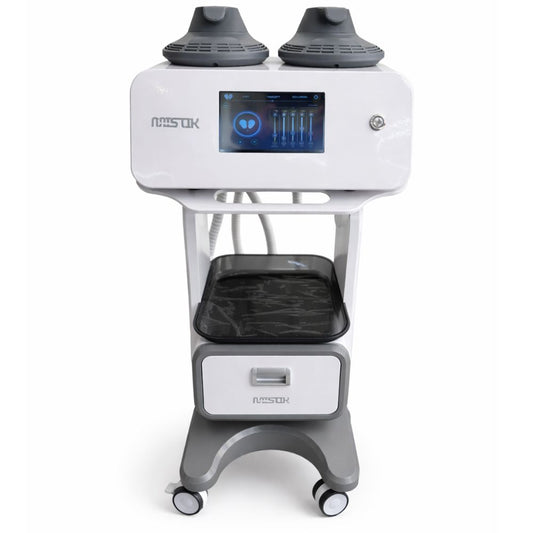 SCULPT TESLA EMS MISTIK